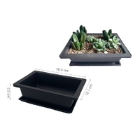 bulk 24 Bonsai Succulent Planter w Tray 16cm
