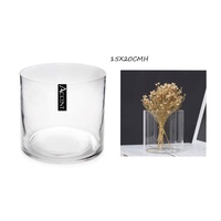 bulk 6 Glass Cylinder Vase 20cm