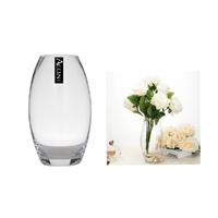 bulk 12 Round Belly Glass Vase 19cm