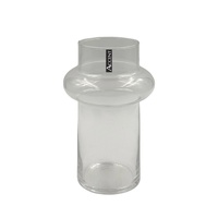 bulk 20 Tina Glass Vase Limited Batch 7x18cm