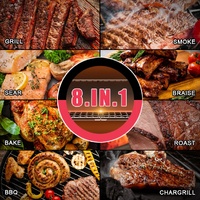 AS660N-2 WOOD PELLET GRILL SILVER