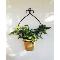 casa-verde-goya-wall-pot-holder-with-pot-cv05158