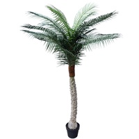 Tropical Palm Tree 170cm UV Resistant