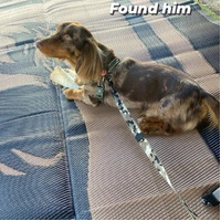 Horse 3m x 1.8m recycled mat