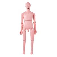 Nursing Training Manikin, Male Life Size Demonstration Human Manikin for Nursing Training, Multifunctional Education Teaching Model Supplies, PVC Anat