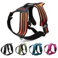 True Love Heavy Duty Sports Dog Harness - Orange, S