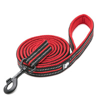  Reflective Pet Leash 2m - Red, L
