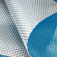 Blue / Silver