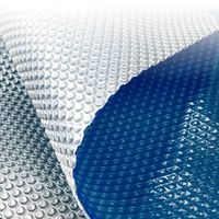 Silver / Blue