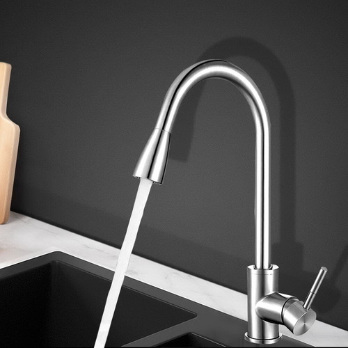 Kitchen Mixer Tap Pull Out 2 Mode Sink Faucet Basin Laundry