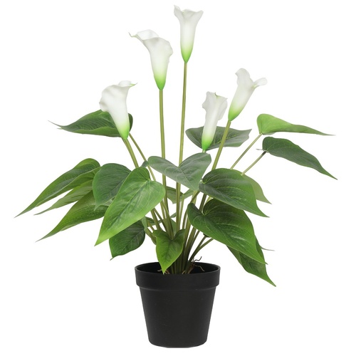 Artificial Flowering Peace Lily Calla Lily Plant 50cm White