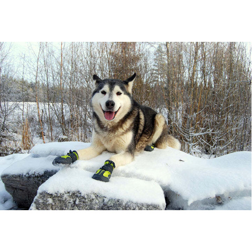 True Love Shoes Black