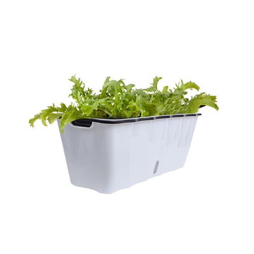 Rectangular Flowerpot Vegetable Herb Flower Outdoor Plastic Box Garden Decor White