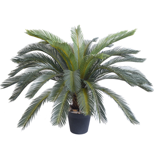 Artificial Indoor Cycas Revoluta Cycad Sago Palm Artificial Decoration Tree Pot Plant