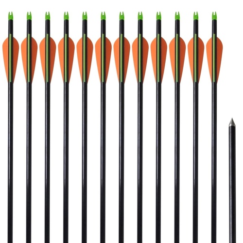 Standard Compound Bow Arrows 30" Fiberglass 12 pcs