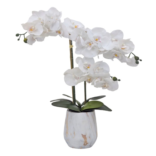 Real Touch Artificial Orchid Pot