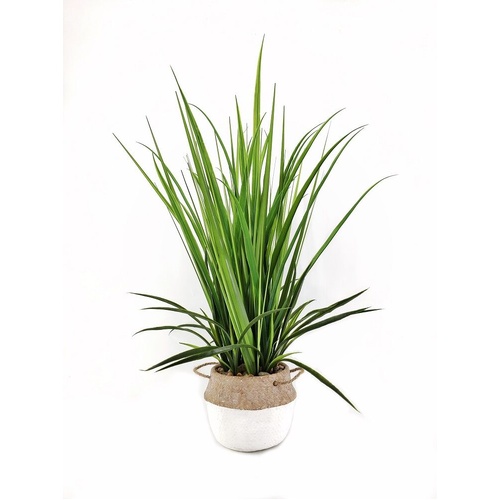 Artificial Grass in Cement Pot
