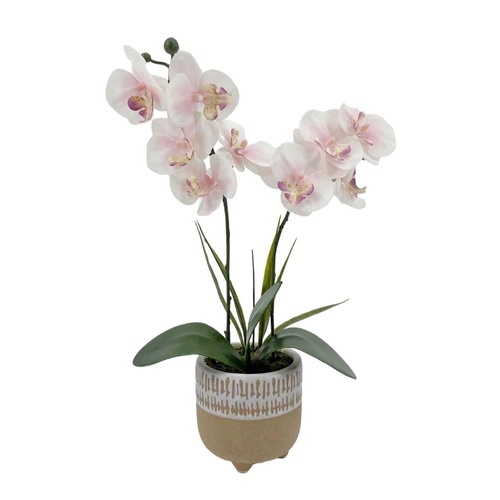 Artificial Orchid in Ceramic Pot