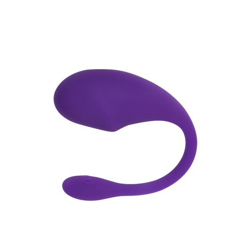 Vibrator Plug USB G-Spot Vibrating Egg Dildo Unisex Female Sex Toy Purple