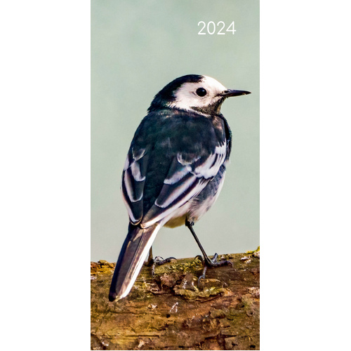 Birds - 2024 Flexi Pocket Diary Premium Planner Christmas Xmas New Year Gift