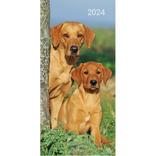 Dogs & Puppies - 2024 Flexi Pocket Diary Premium Planner Christmas New Year Gift