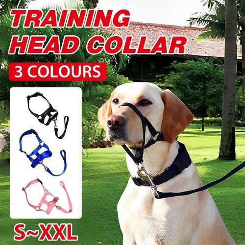 Black Dog Training Head Collar Halter Stop Pulling Training Tool Harness Strap Leader - L