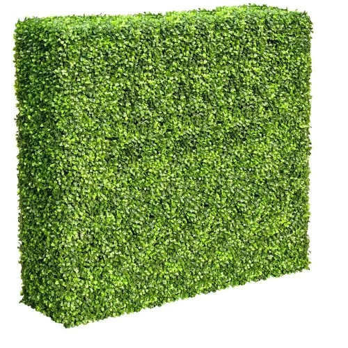 Mixed Boxwood Hedge UV Resistant 75cm Long x 75cm High