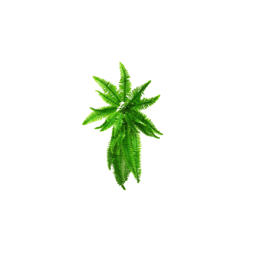 Artificial Boston Hanging Fern 102cm