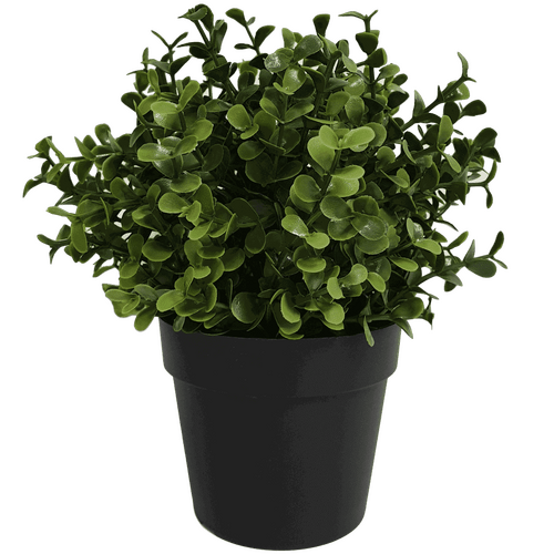 Small Potted Artificial Buxus Plant UV Resistant 20cm