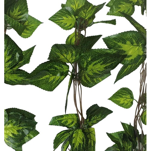 Artificial Pothos / Ivy Hanging Vines 260cm Each (5 pack)